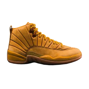 Air Jordan PSNY x Air Jordan 12 Retro 'NYC' Friends and Family Sample Tan