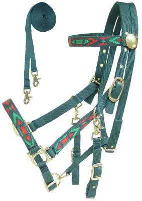 Derby Padded Nylon Halter Bridle Combo with Reins Aztec Overlay