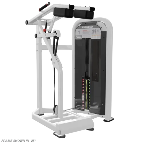 Nautilus Impact Standing Calf