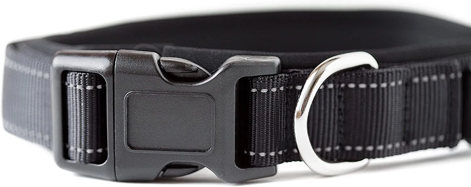 Neoprene Padded Dog Collar - Mighty Paw Sport Collar with Reflective Stitching