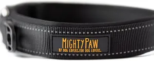 Neoprene Padded Dog Collar - Mighty Paw Sport Collar with Reflective Stitching