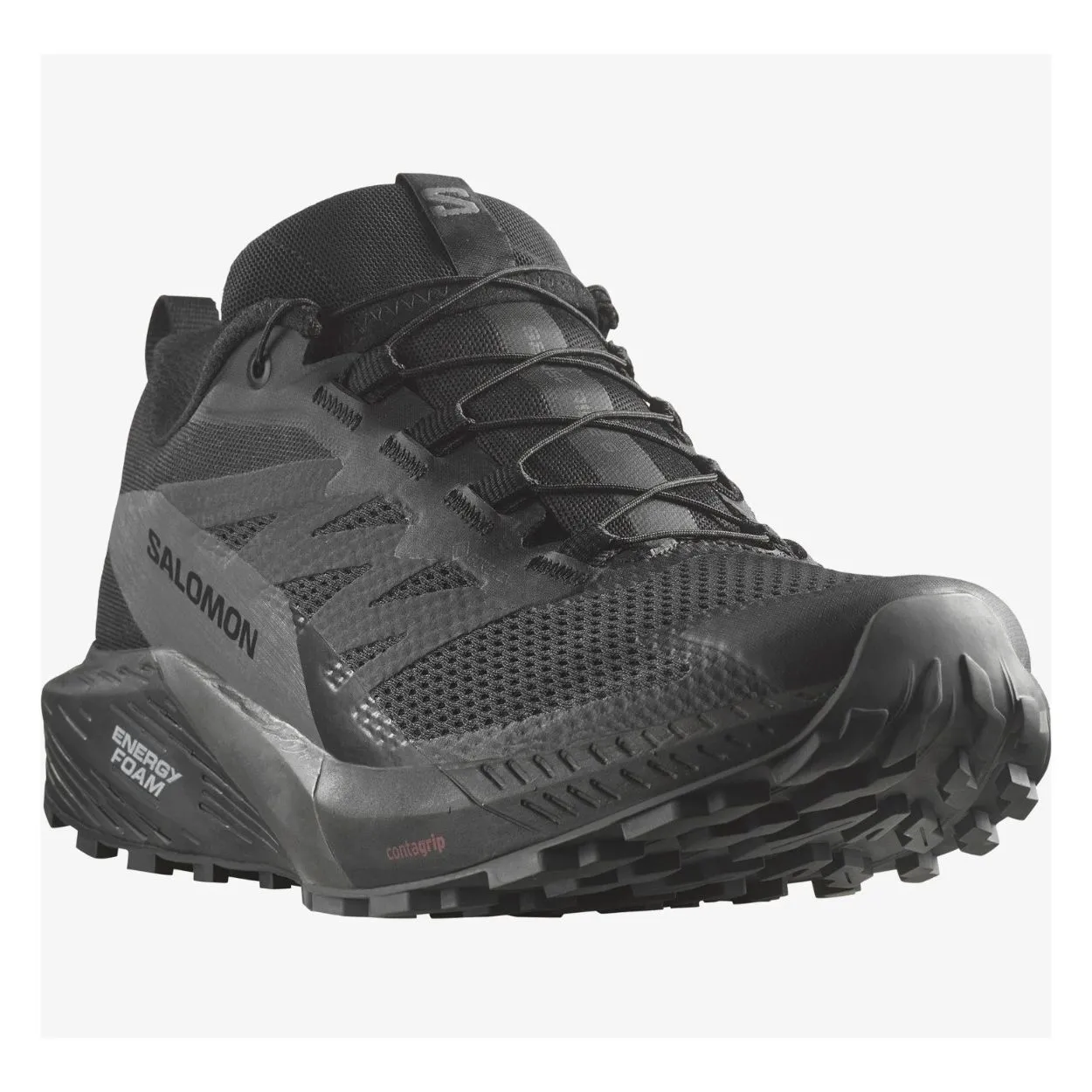 Salomon Mens Sense Ride 5 Gtx Shoe