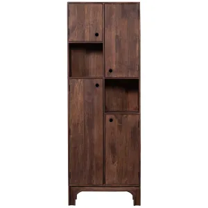 Staes Walnut Mango Wood Storage Cabinet