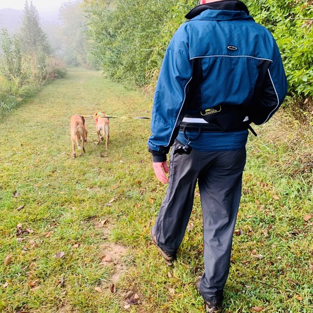 Trekking Belt